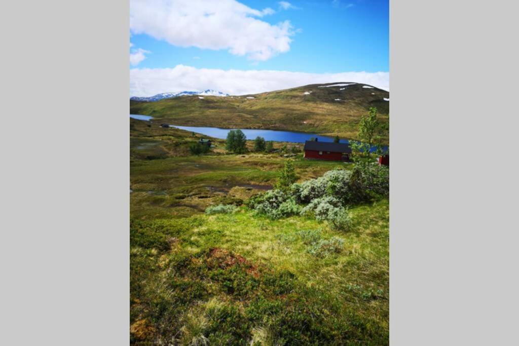 Villa Casa Kleiv I Sogndalsdalen Extérieur photo